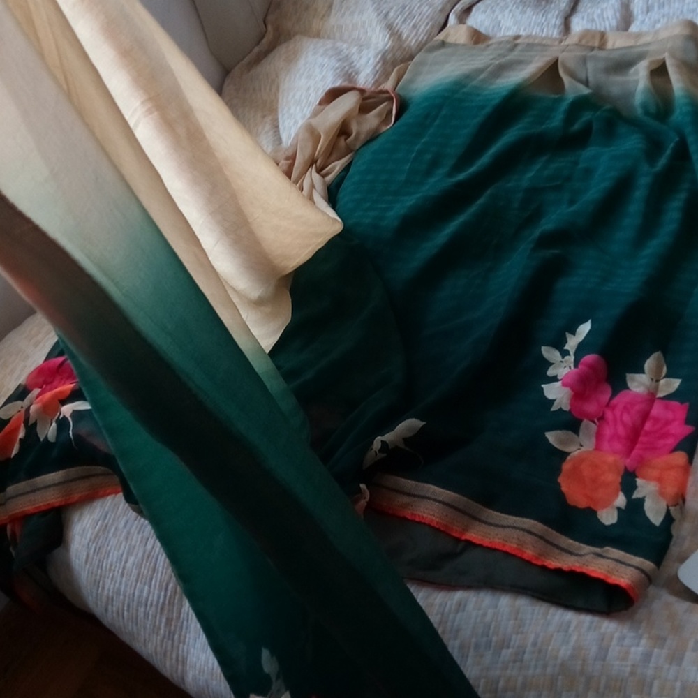 Indian Saree - Picture 3 of 4